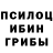 Псилоцибиновые грибы Cubensis TickWasTaken
