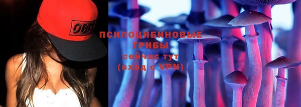 спайс Володарск